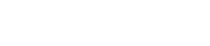 The N2 company logo